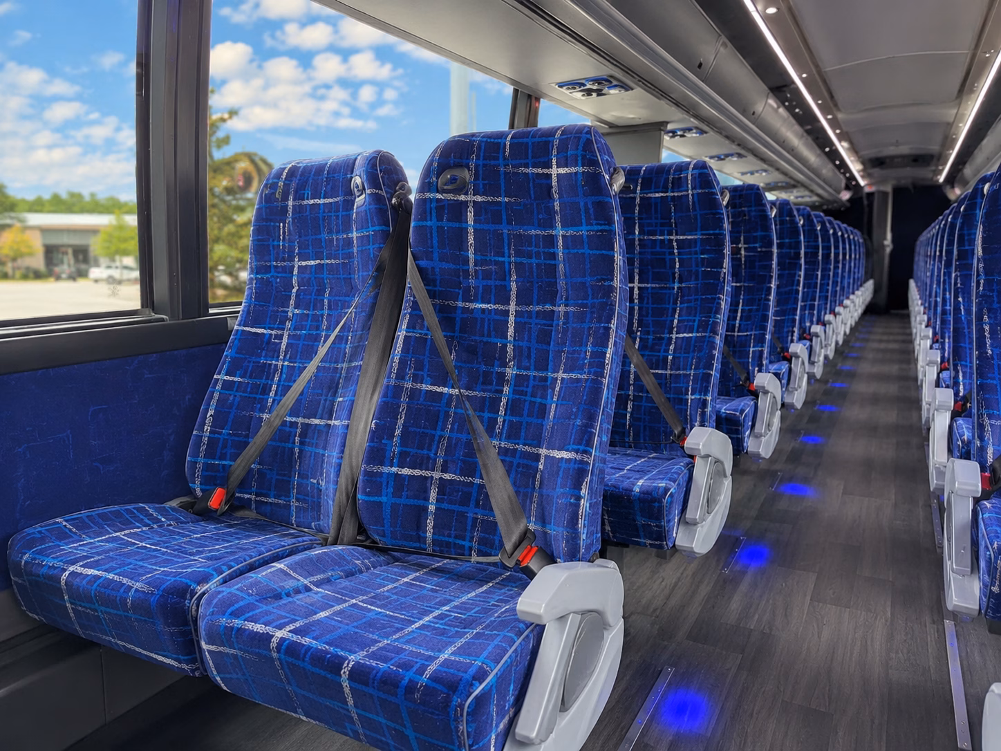 odessa charter bus tours to guadalupe mountains national park and carlsbad caverns national park
